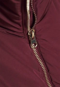 JDYNEWERICA SHORT PADDED JACKET - Veste D'hiver - Windsor Wine 11 JDYNEWERICA SHORT PADDED JACKET - Veste D'hiver - Windsor Wine -JDY Soldes Magasin c93a86b026b2402fa31f037fe31e7a8d
